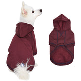 Blueberry Pet sudadera con capucha frontal, ideal para paseos en clima fresco