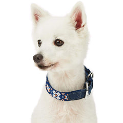 Blueberry Pet tribal pattern collar showcases genuine leather for durable wear