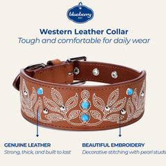 Blueberry Pet turquoise-stud collar adds Western flair for everyday adventures.