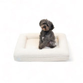 Bluewater Dog luxury boucle bed cloud closeup for cozy naps.