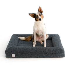 Bluewater Dog luxury boucle bed cover shown for cozy lounging and style