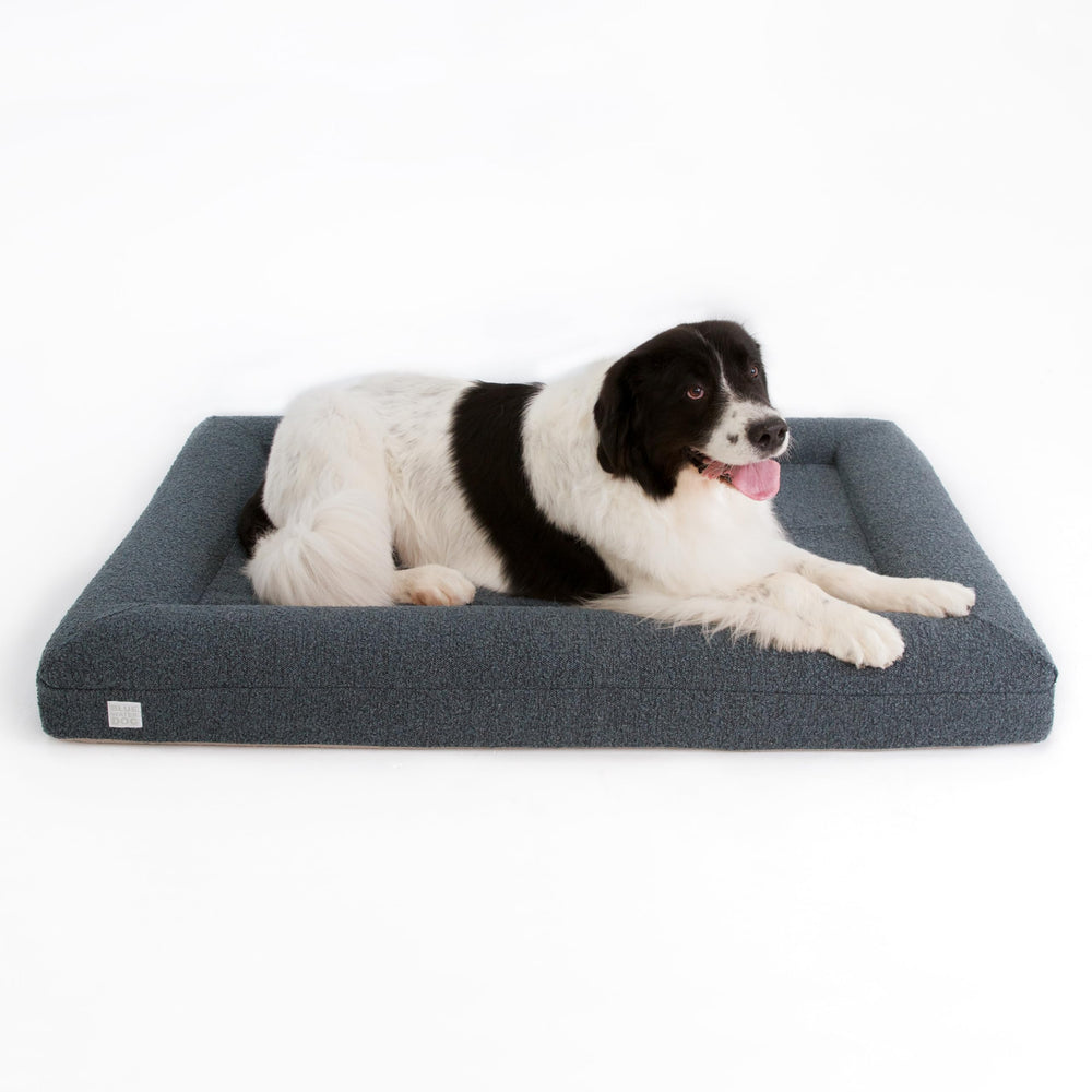 Bluewater Dog luxury boucle orthopedic bed cover showcases stylish Ocean Blue fabric for home comfort.