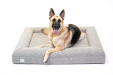 Bluewater Dog luxury bouclé orthopedic bed front view for snuggle-ready support.