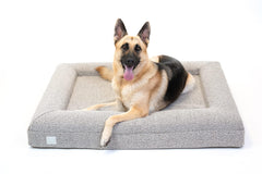 Bluewater Dog luxury bouclé orthopedic bed front view for snuggle-ready support.
