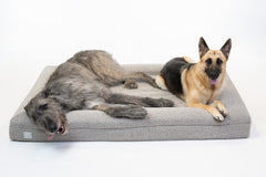 Bluewater Dog Luxury Boucle Bed top view shows plush orthopedic comfort
