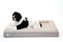 Bluewater Dog orthopedic foam detail emphasizes CertiPUR-US memory foam resilience