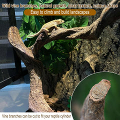 BNOSDM Reptile Decor Branch Forest versatile decor for terrariums and vivariums