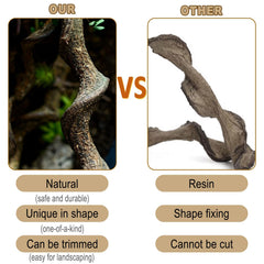 BNOSDM Reptile Decor Branch Forest natural wood for basking and enrichment
