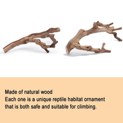BNOSDM reptile wood branch bearded dragon scene emphasizes basking and exploration.
