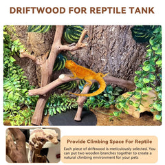 BNOSDM reptile wood branch terrarium decor closeup showing safe natural wood texture.
