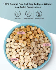 BNYEE freeze-dried turtle treats closeup preserves aroma and texture for better appeal.