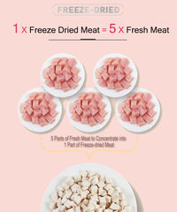 BNYEE freeze-dried chicken treat crunch close-up highlighting texture.