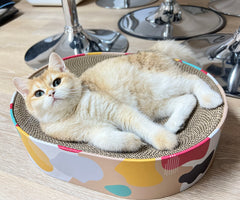 BobbyPet Cat Scratcher Lounge Bed side view demonstrates stability and space to stretch.