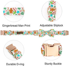 Bobo Rainbow Gingerbread Collar side buckle demonstrates adjustable fit for medium dogs.