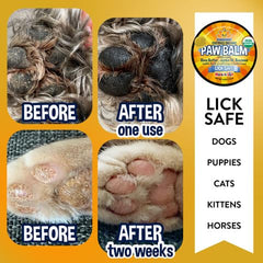 Bodhi Dog Paw Balm application glide on dry pads for soothing relief