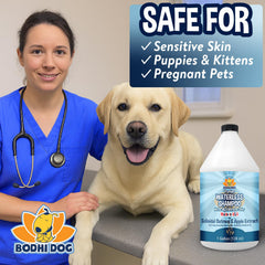 Bodhi Dog Waterless Shampoo leaves coat silky soft and shiny.