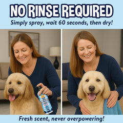 Bodhi Dog Waterless Shampoo spray application on fur showing fast odor control.