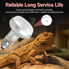 BOEESPAT Intense 75W UVA Daylight Heat Lamp Bulb—durable glass and filament design for long life.
