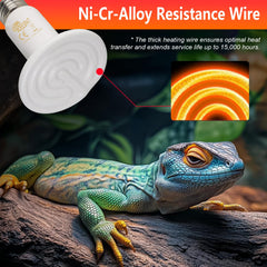 BOEESPAT reptile basking-spot in enclosure creates ideal warm microclimate for reptiles.