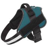 Bolux arnés No-Pull turquesa XS vista frontal para paseo sin tirones
