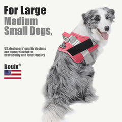 Bolux adjustable chest strap ensures growing puppies can stay comfortable on walks