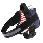 Bolux dog harness closeup shows no-pull design for small dogs' comfortable walks