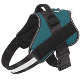Bolux no-pull turquoise harness front view for comfortable walks