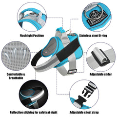 Bolux dog harness OceanicBlue reflective straps improve nighttime visibility for walkers.