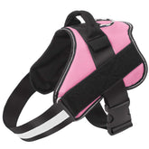 Bolux dog harness pink side view highlights no-pull design for comfortable walks