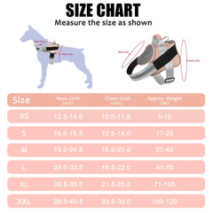 Bolux dog harness reflective straps boost night visibility for safer evening walks.