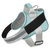 Bolux no-pull harness front view for comfortable daily walks