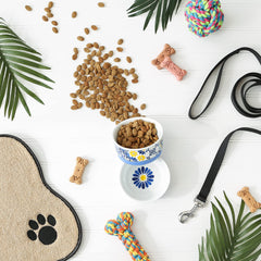 Bone Dry bowls in use with a cat during feeding for tidy meals.