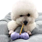 Bonivet bully stick holder front view in purple, highlighting compact, user-friendly design for small dogs