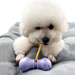 Bonivet bully stick holder front view in purple, highlighting compact, user-friendly design for small dogs