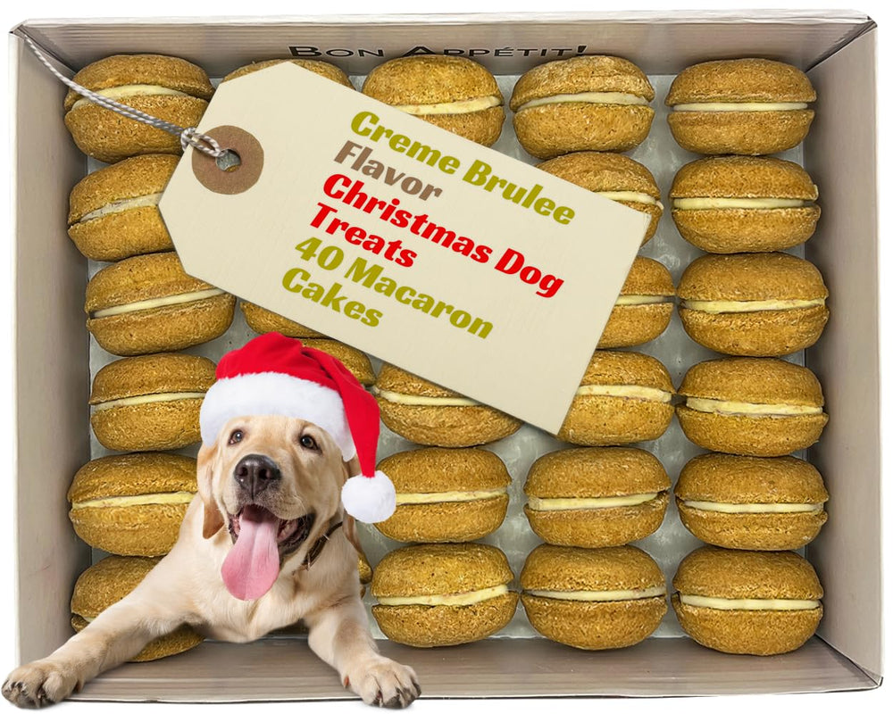 Bonne et Filou creme brulee cupcakes 40-count box front — birthday gift for dogs.
