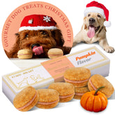 Bonne et Filou pumpkin-cupcakes-dog-treats for festive celebrations