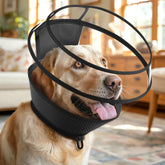 BONTHEE soft dog cone with inner soft mesh liner offers breathable comfort during recovery.
