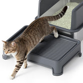 Booche cat ramp litter-box side view highlights elevated access for small or senior cats.