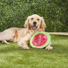 Booda pack-of-3 dog toys for versatile fetch and play across spaces.