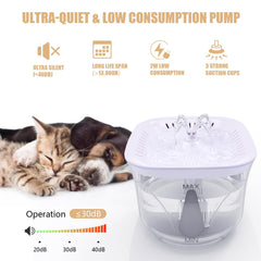 BOODIDI cat fountain 5-stage-filtration keeps water fresh