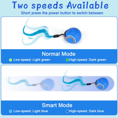 BABORUI dual speed switch for fast or slow chasing