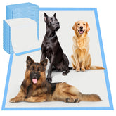 Boscute 4XL thickened pad full-view shows six-layer protection for leak-proof training.