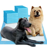 Boscute Enormous 54x37 pee pads full view for large dogs and multi-pet spaces.