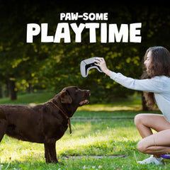 Both Tails reinforced stitching dog toy—built to withstand rough tugging.