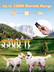 BOUSNIC dual-channel collar enables two-dog training setup.