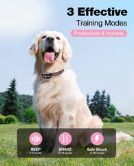 Bousnic dog training collar remote demonstrates easy control during outdoor sessions.