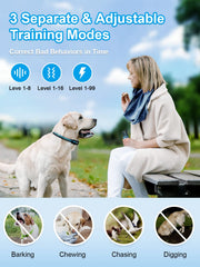 BOUSNIC dual-channel remote showing two-dog training capability simultaneously.