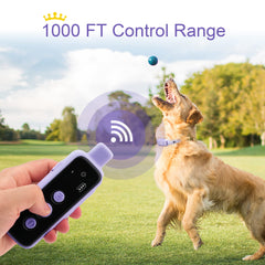 BOUSNIC IPX7 waterproof receiver ideal for outdoor training in rain and water