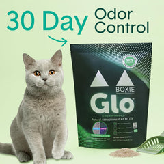 Boxiecat Glo UV sparkles attractants visible to cats