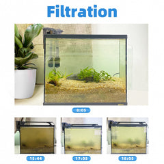 Boxtech Hang On Filtro: motor silencioso para paz en casa